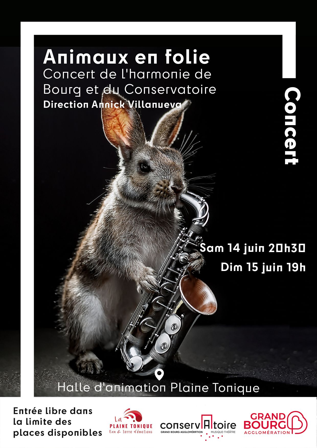 Affiche animaux en folie