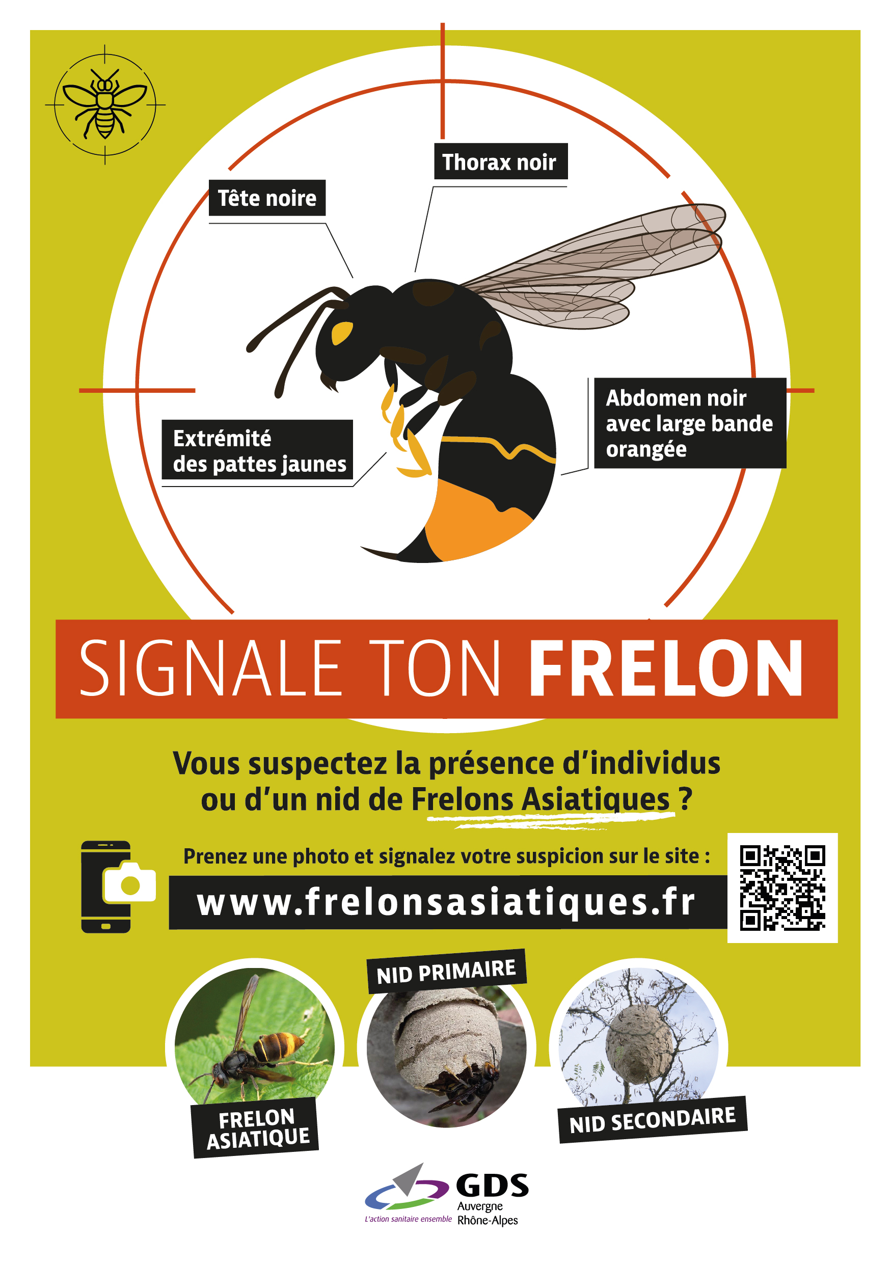 Flyers 148x210mm wwwfrelonsasiatiquesfr 2023 01