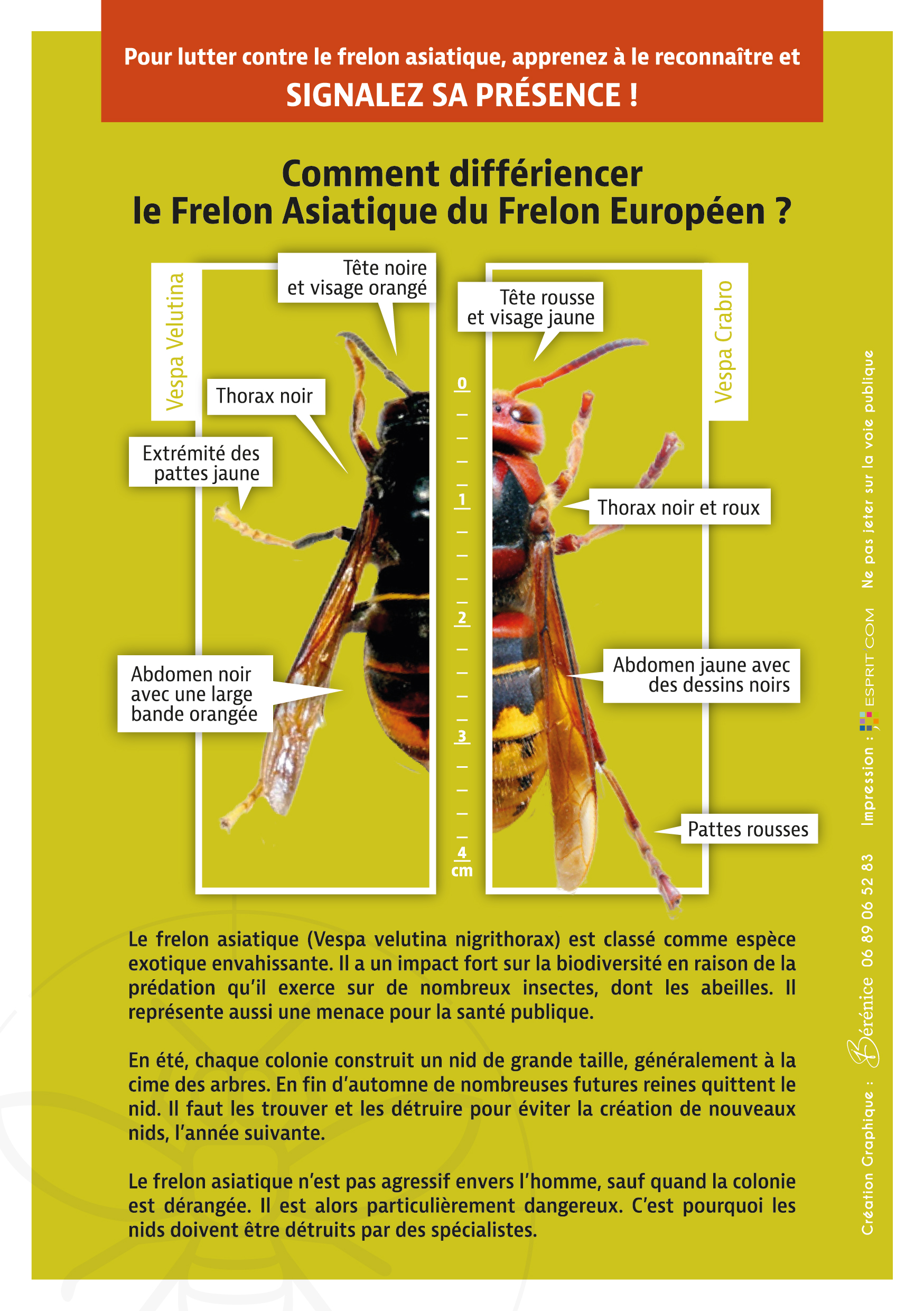 Flyers 148x210mm wwwfrelonsasiatiquesfr 2023 02